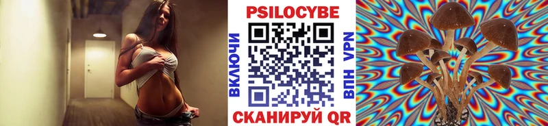 Псилоцибиновые грибы GOLDEN TEACHER  Мурино 