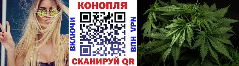 Бошки Шишки сатива Мурино