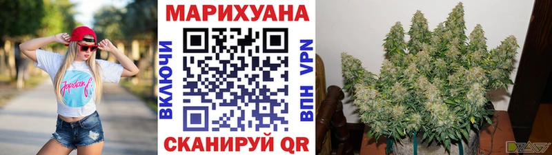 Бошки марихуана марихуана  hydra маркетплейс  Мурино 